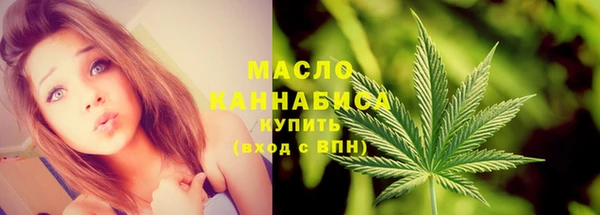 сатива Беслан