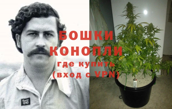 гидропоника Бронницы