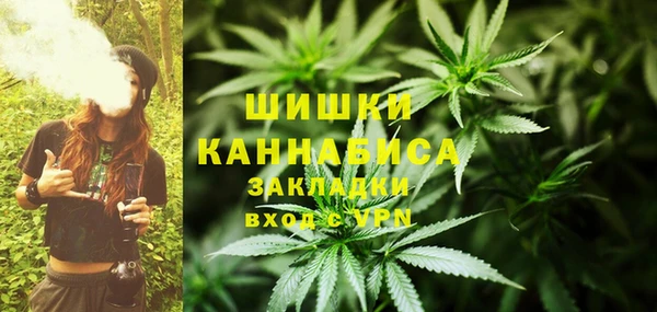гидропоника Бронницы