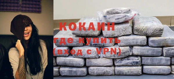 спиды Бикин