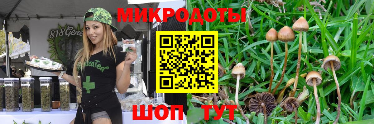Валуйки  Галлюциногенные грибы Cubensis  Галлюциногенные грибы мицелий  Вход с VPN 